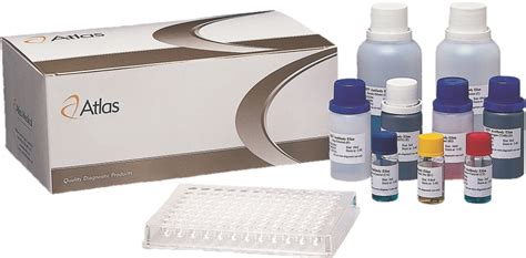 ab213972 Human ADMA ELISA kit 